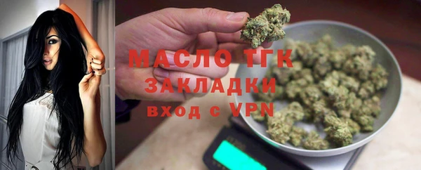 индика Галич