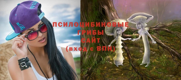 скорость Пестово