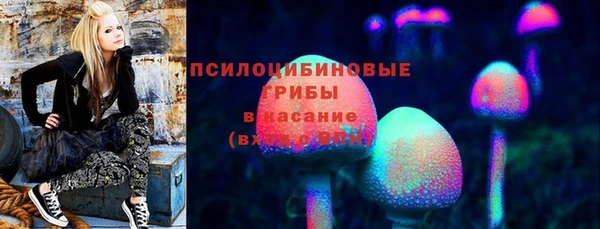скорость Пестово
