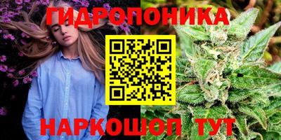 каннабис Берёзовский