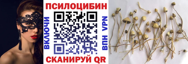 Галлюциногенные грибы Magic Shrooms  блэк спрут зеркало  Заводоуковск 