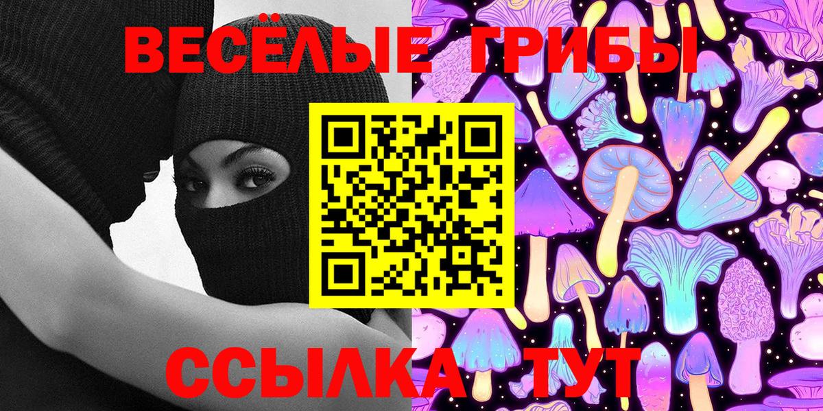 Псилоцибиновые грибы Magic Shrooms  Вход с VPN  Псилоцибиновые грибы прущие грибы  Заводоуковск 